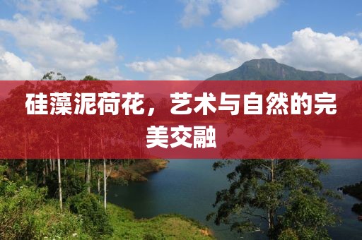 硅藻泥荷花，艺术与自然的完美交融