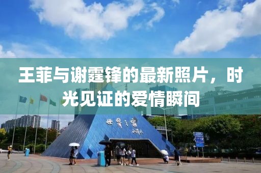 王菲与谢霆锋的最新照片，时光见证的爱情瞬间