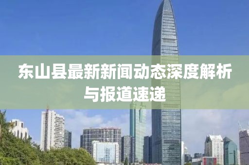 东山县最新新闻动态深度解析与报道速递