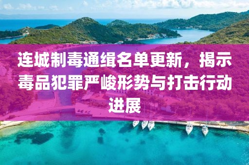 连城制毒通缉名单更新，揭示毒品犯罪严峻形势与打击行动进展