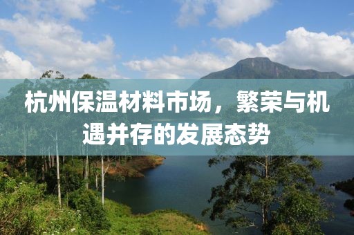 杭州保温材料市场，繁荣与机遇并存的发展态势
