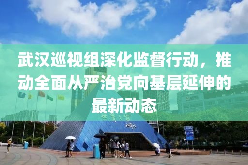 武汉巡视组深化监督行动，推动全面从严治党向基层延伸的最新动态