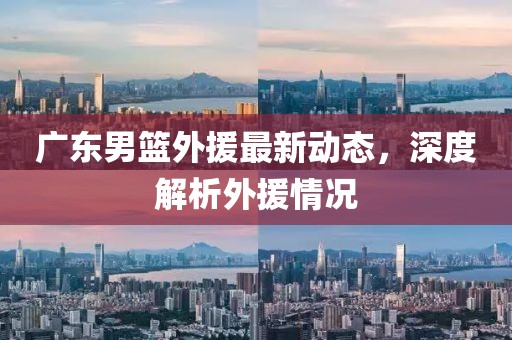 广东男篮外援最新动态，深度解析外援情况