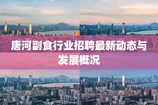 唐河副食行业招聘最新动态与发展概况