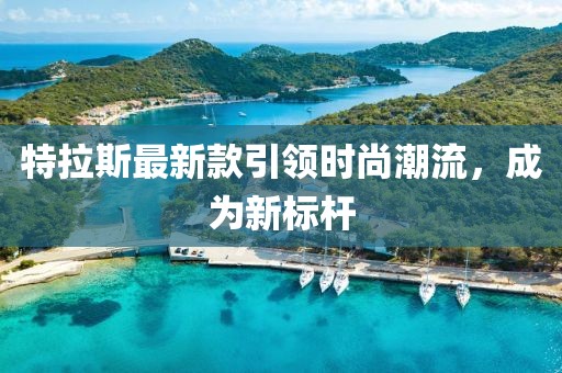 特拉斯最新款引领时尚潮流，成为新标杆