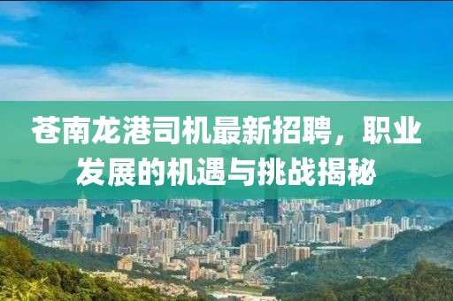 素玄 第4页