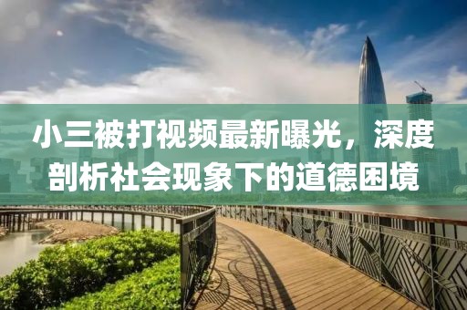 小三被打视频最新曝光，深度剖析社会现象下的道德困境