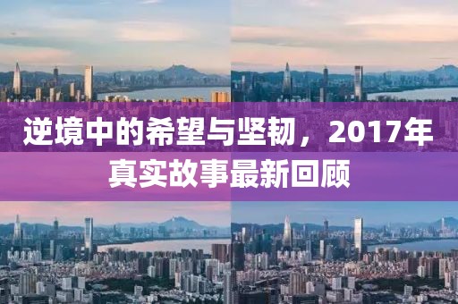 逆境中的希望与坚韧，2017年真实故事最新回顾