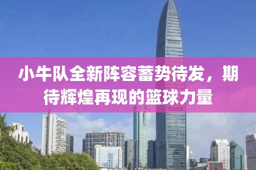 小牛队全新阵容蓄势待发，期待辉煌再现的篮球力量