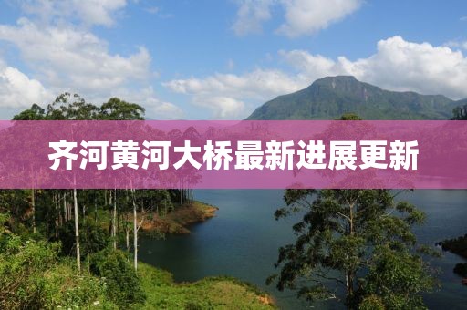齐河黄河大桥最新进展更新