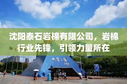 沈阳泰石岩棉有限公司，岩棉行业先锋，引领力量所在