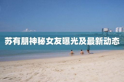 苏有朋神秘女友曝光及最新动态