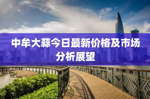 中牟大蒜今日最新价格及市场分析展望