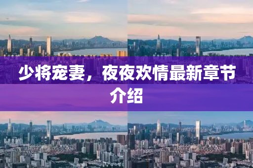 少将宠妻，夜夜欢情最新章节介绍