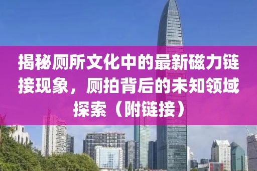 揭秘厕所文化中的最新磁力链接现象，厕拍背后的未知领域探索（附链接）