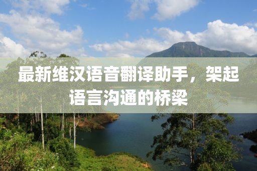 最新维汉语音翻译助手，架起语言沟通的桥梁
