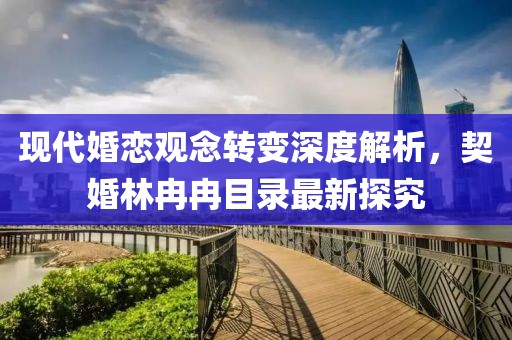 现代婚恋观念转变深度解析，契婚林冉冉目录最新探究