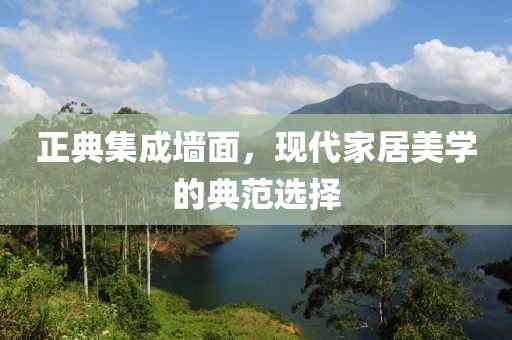 正典集成墙面，现代家居美学的典范选择