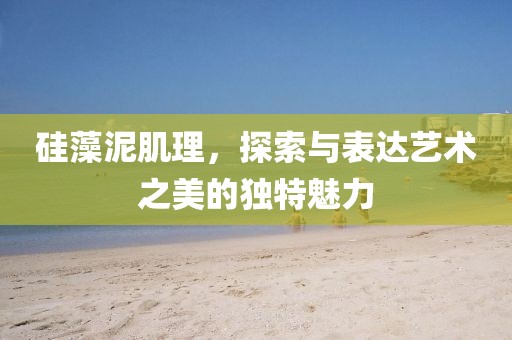 硅藻泥肌理，探索与表达艺术之美的独特魅力