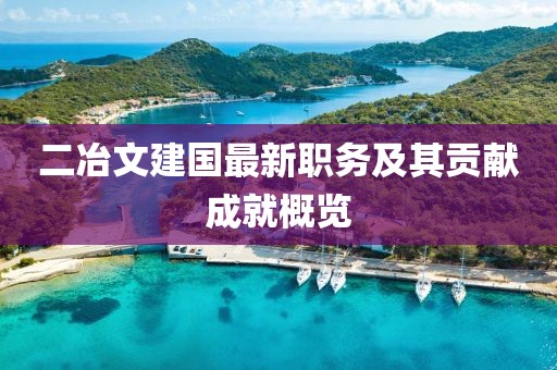二冶文建国最新职务及其贡献成就概览