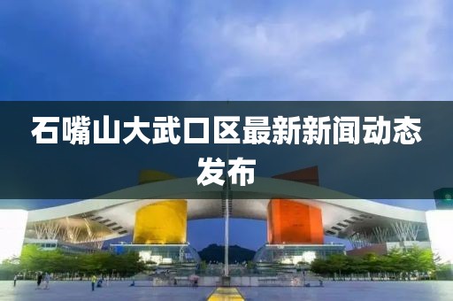 石嘴山大武口区最新新闻动态发布
