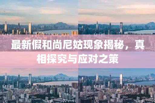 最新假和尚尼姑现象揭秘，真相探究与应对之策