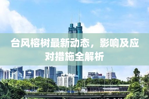 台风榕树最新动态，影响及应对措施全解析
