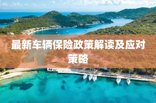 最新车辆保险政策解读及应对策略
