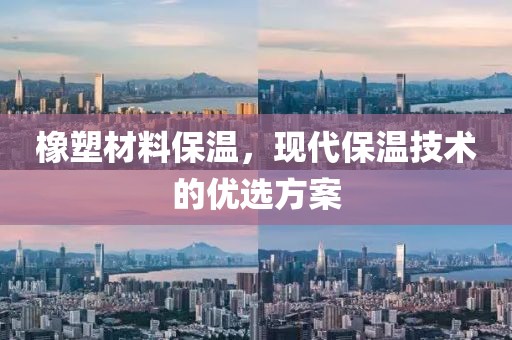 素念 第3页