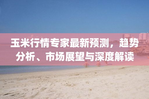 玉米行情专家最新预测，趋势分析、市场展望与深度解读