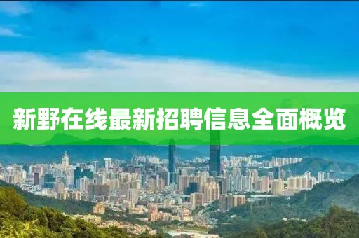 新野在线最新招聘信息全面概览