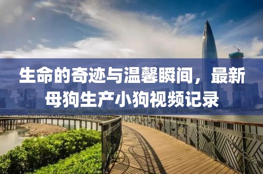 生命的奇迹与温馨瞬间，最新母狗生产小狗视频记录