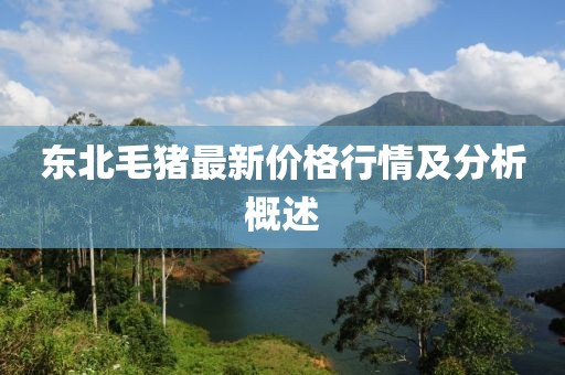 东北毛猪最新价格行情及分析概述
