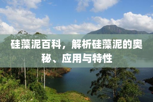 硅藻泥百科，解析硅藻泥的奥秘、应用与特性