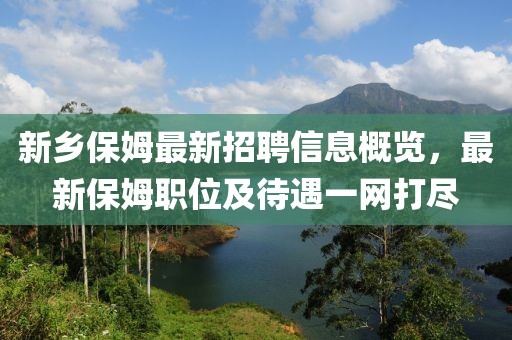 新乡保姆最新招聘信息概览，最新保姆职位及待遇一网打尽