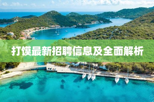 打馍最新招聘信息及全面解析