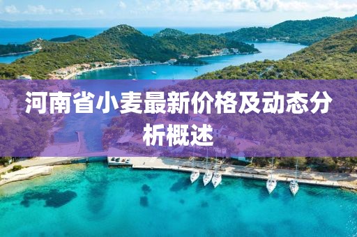 河南省小麦最新价格及动态分析概述