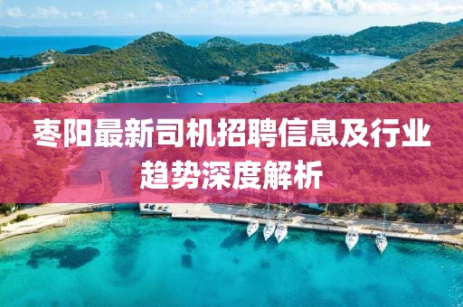 枣阳最新司机招聘信息及行业趋势深度解析
