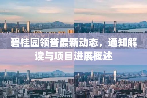 碧桂园领誉最新动态，通知解读与项目进展概述