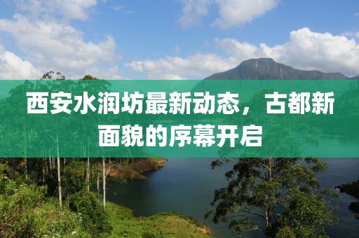 素玄 第3页