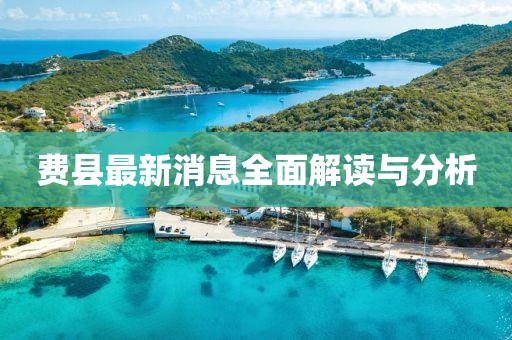 费县最新消息全面解读与分析