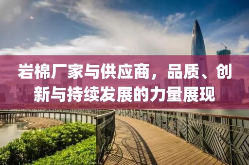 岩棉厂家与供应商，品质、创新与持续发展的力量展现