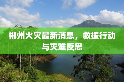 郴州火灾最新消息，救援行动与灾难反思