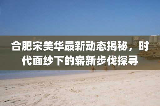 合肥宋美华最新动态揭秘，时代面纱下的崭新步伐探寻