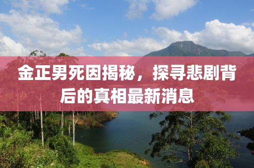 金正男死因揭秘，探寻悲剧背后的真相最新消息