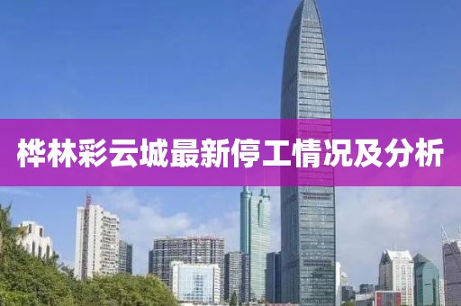桦林彩云城最新停工情况及分析