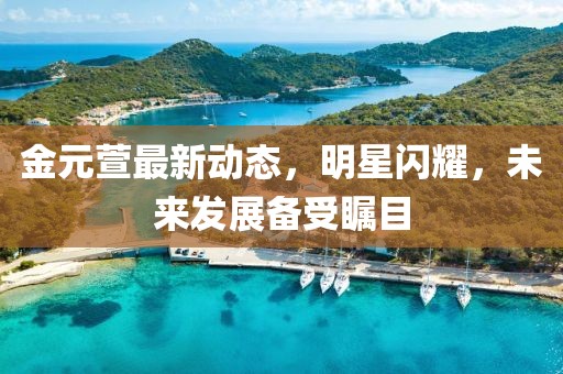 金元萱最新动态，明星闪耀，未来发展备受瞩目