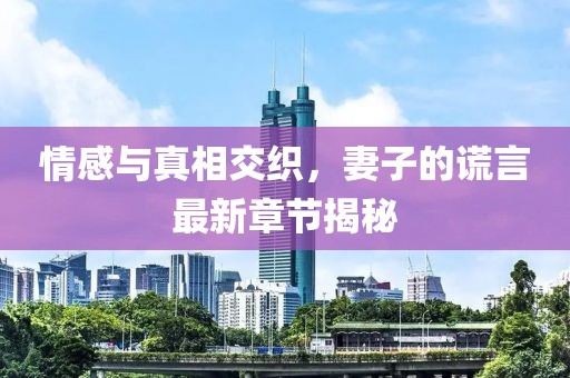 情感与真相交织，妻子的谎言最新章节揭秘