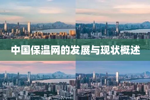 中国保温网的发展与现状概述
