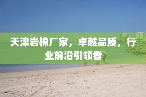 天津岩棉厂家，卓越品质，行业前沿引领者